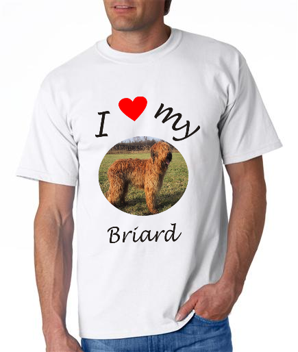 Dogs - Briard Picture on a Mens Shirt